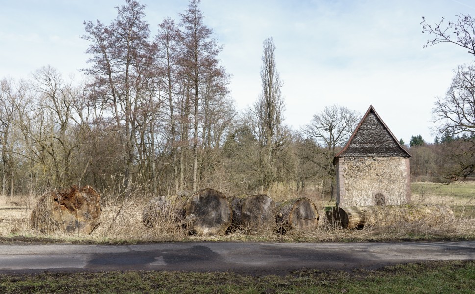 Annenkapelle mit Fichtenstamm