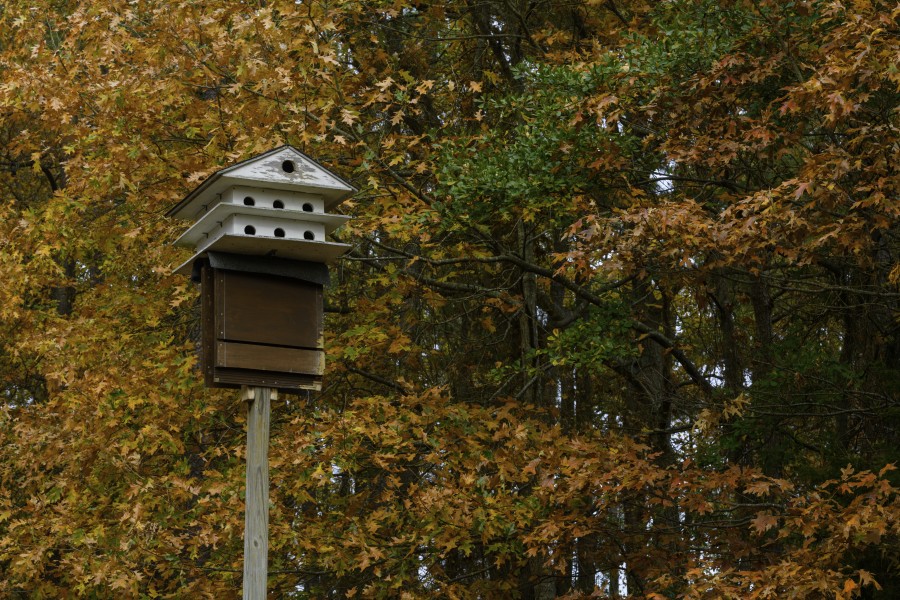 Apartment-style bird house at Hoffler Creek LR