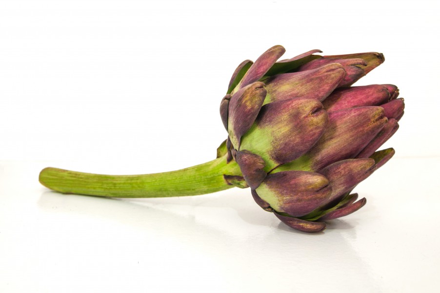 Artichoke in Brazil