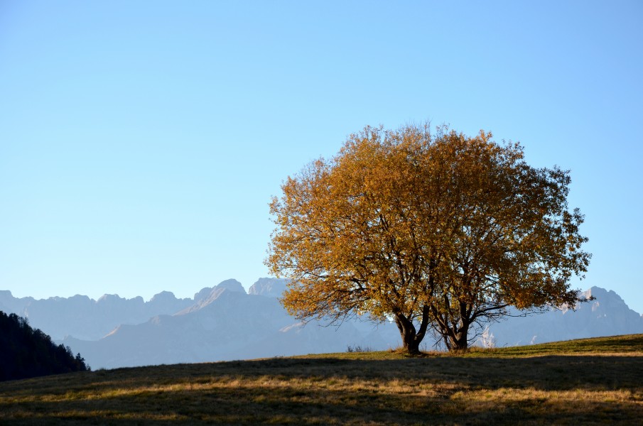 Autumn Trentino October 2017 5