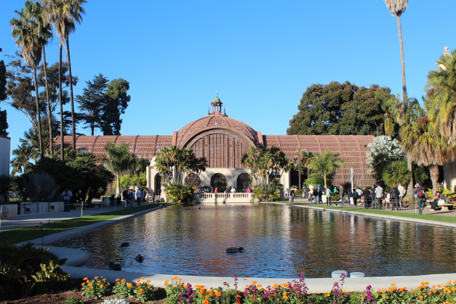Balboa Park Pond
