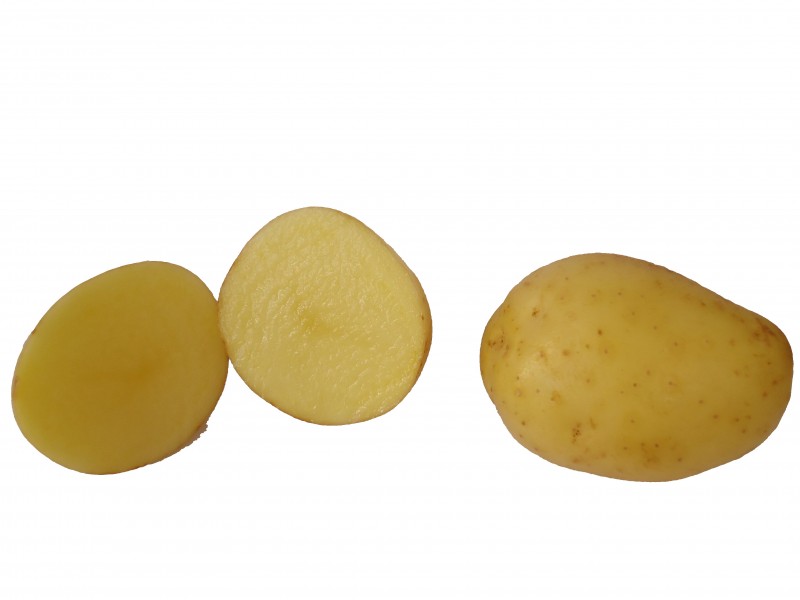 Batata