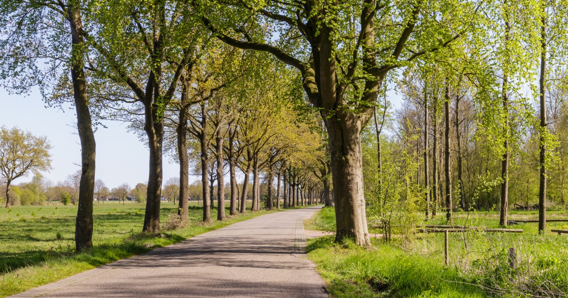 Bekhofweg ter hoogte van natuurterrein Beekdal Linde Bekhofplas 03