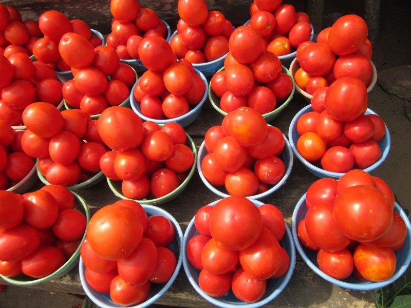 Belles tomates