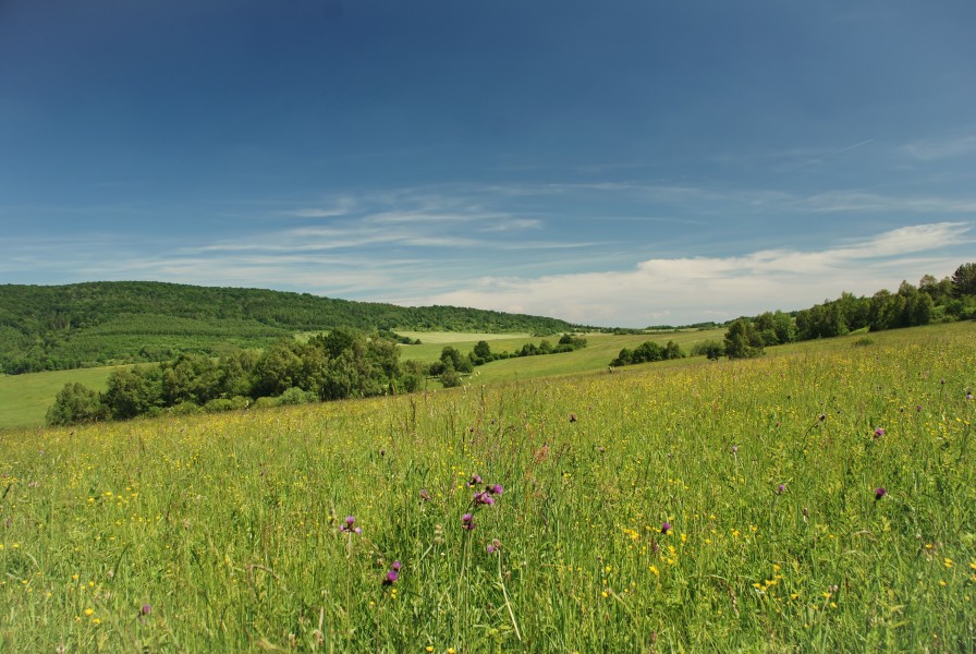 Beskid Niski-Czeremcha (2)