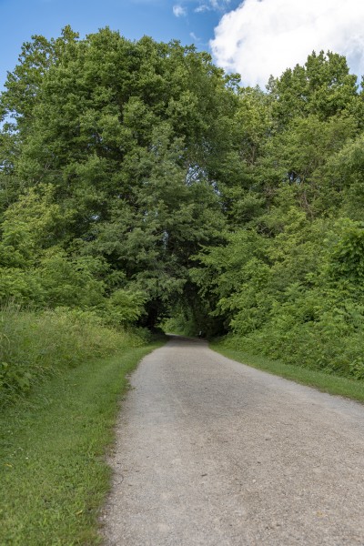 Blacklick Woods - A shaded bench along the trail 1