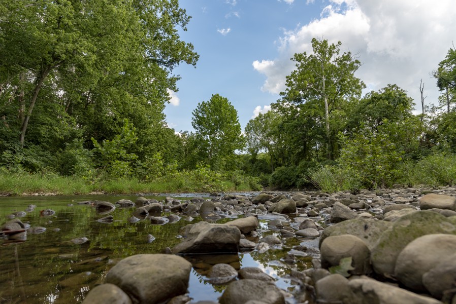 Blacklick Woods-Blacklick Creek 4
