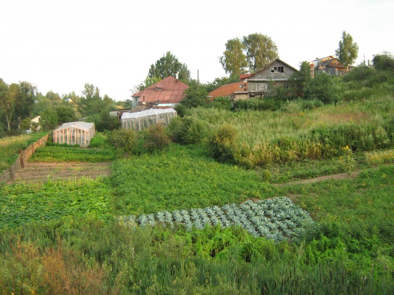 C0097-Fedyakovo-gardens