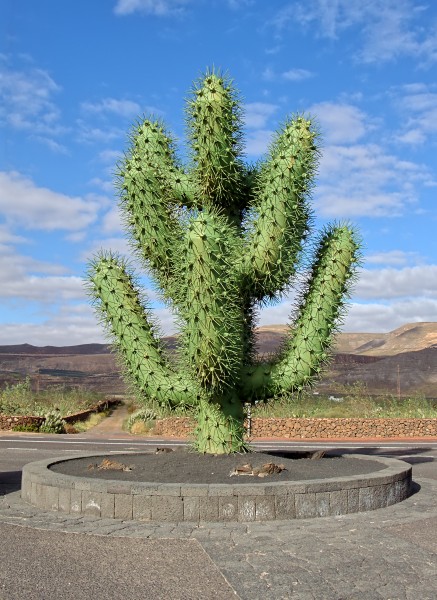 Cactus sculpture - César Manrique - Guatiza