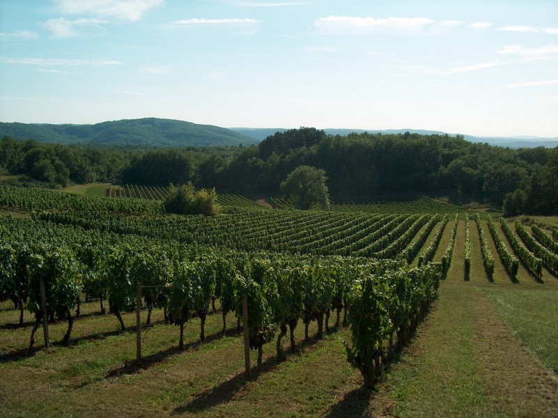 Cahors 2011 08 031