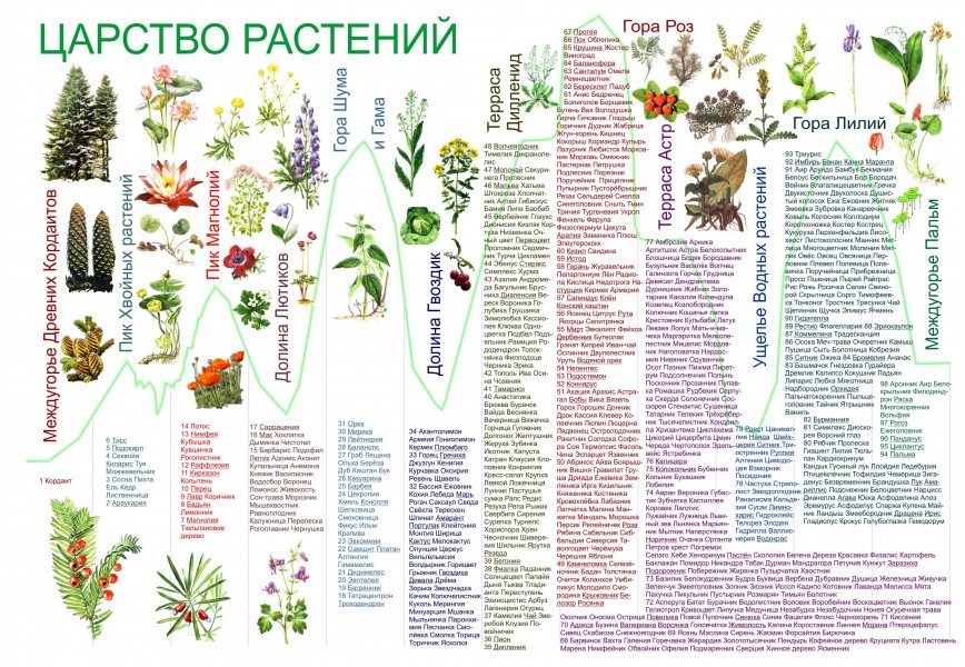 Carstvo Rastenii