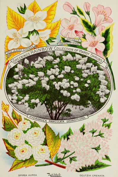 Catalogue (1899) (20558327201)