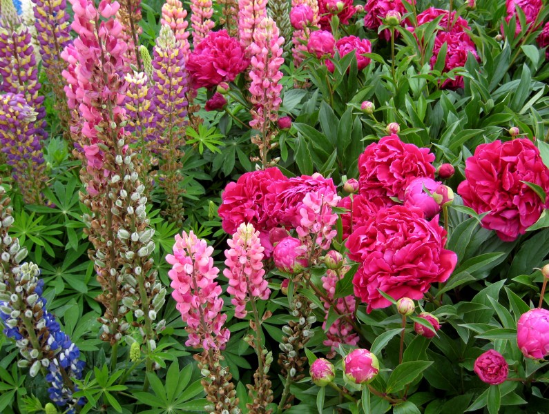 Cheverny23