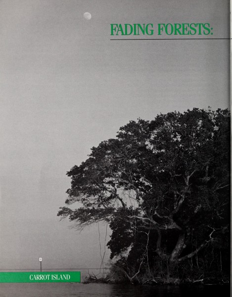 Coast watch (1979) (20650110292)