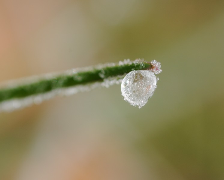ComputerHotline - Iced Dew droplet (by) (2)