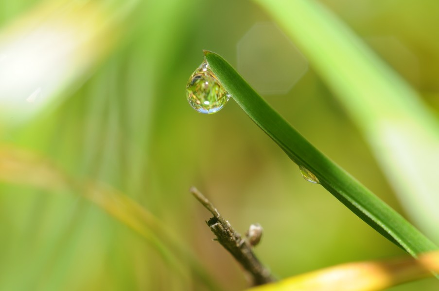 ComputerHotline - Water droplet (by) (3)