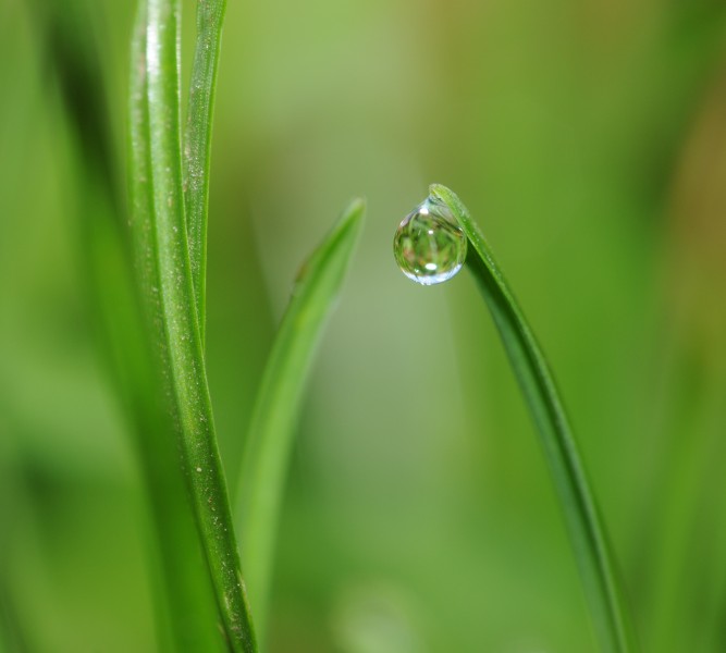 ComputerHotline - Water droplet (by) (7)