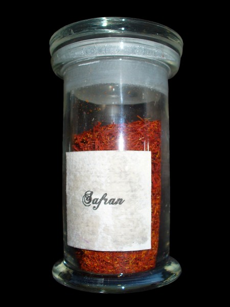 Crocus sativus 003