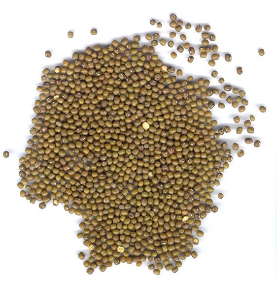 CSIRO ScienceImage 3717 Mung beans
