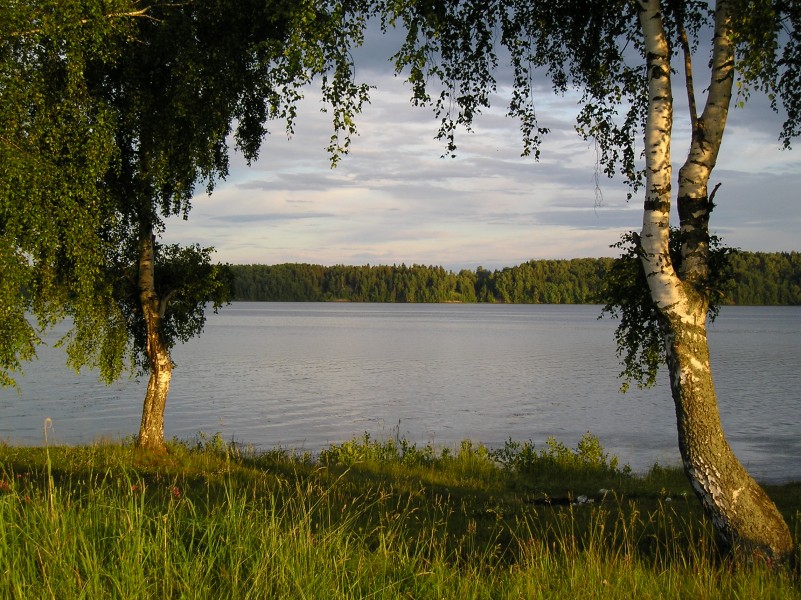 Летний вечер на Волге,близ Заречного. - panoramio