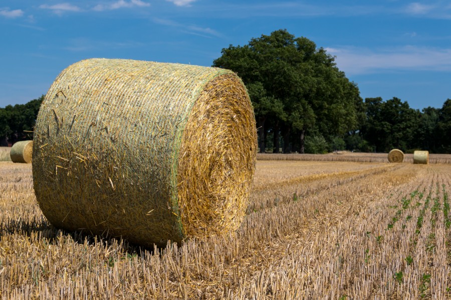 Dülmen, Kirchspiel, Strohballen -- 2015 -- 7787