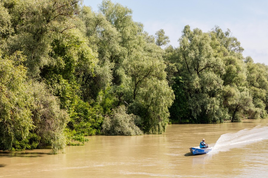 Delta del Danubio, Rumanía, 2016-05-28, DD 12