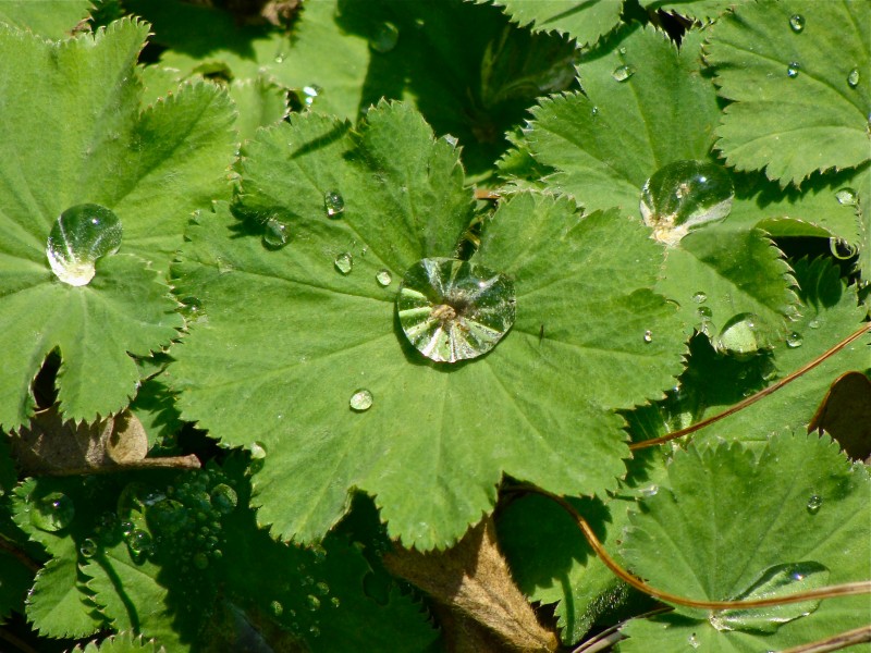 Diamondswater