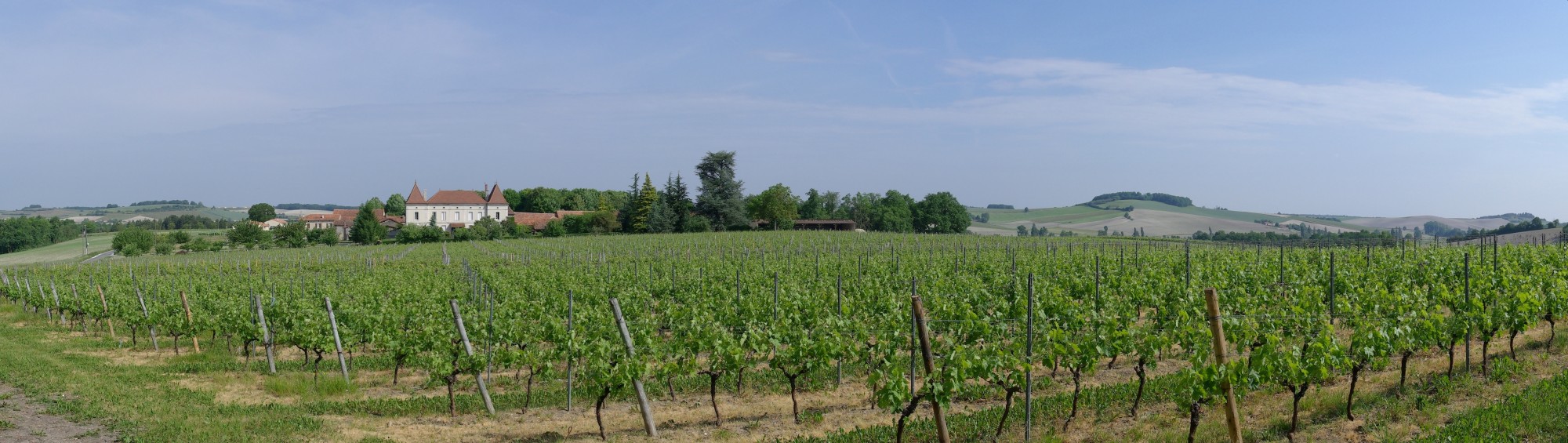 Domaine viticole Chpgne-Vigny 2011