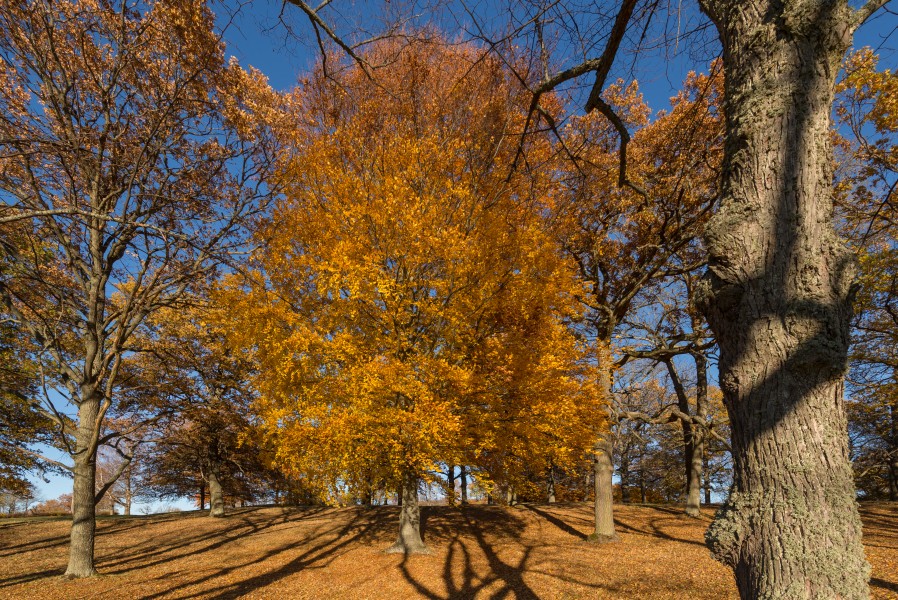 Drottningholm October 2016