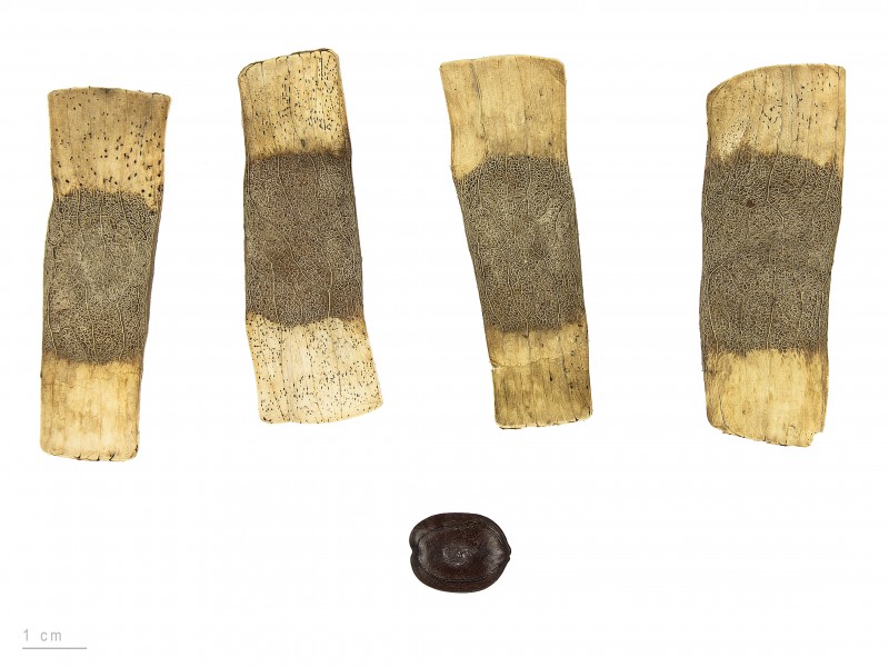 Entada polyphylla MHNT.BOT.2007.27.17