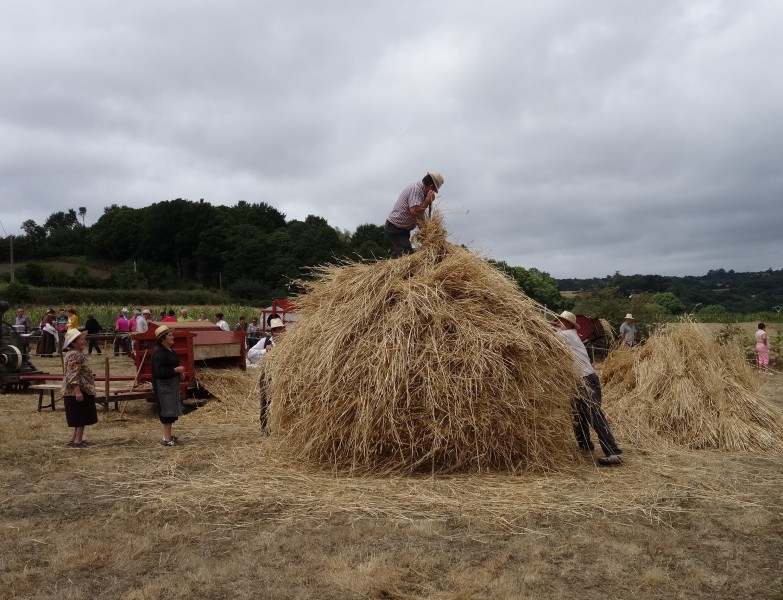 Facendo palleiro-Festa Malla Doade 2015 14