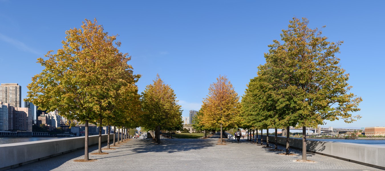 FDR Four Freedoms Park New York October 2016 panorama