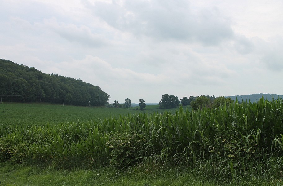 Field in Mahoning Township, Montour County, Pennsylvania