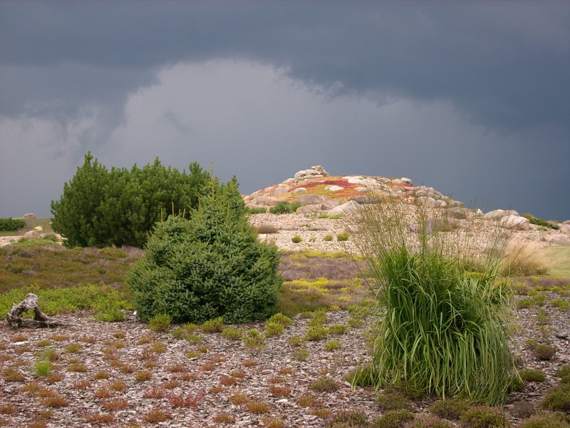 Findlingspark Nochten 5