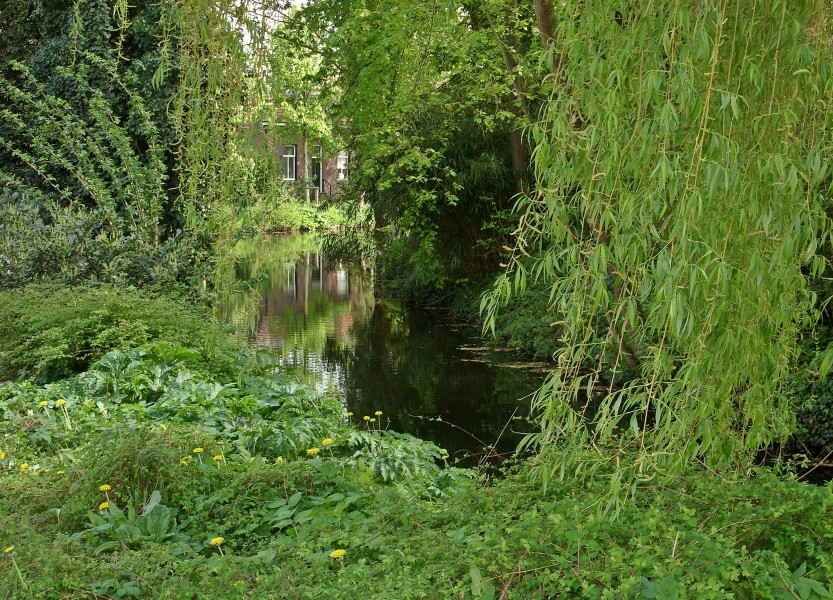 Fluss im Süden Wageningens