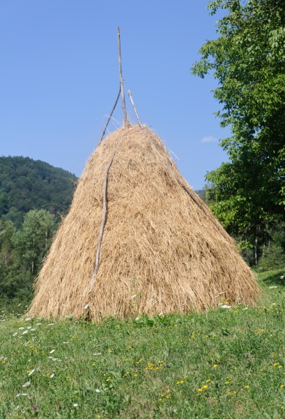 Foin meule Roumanie