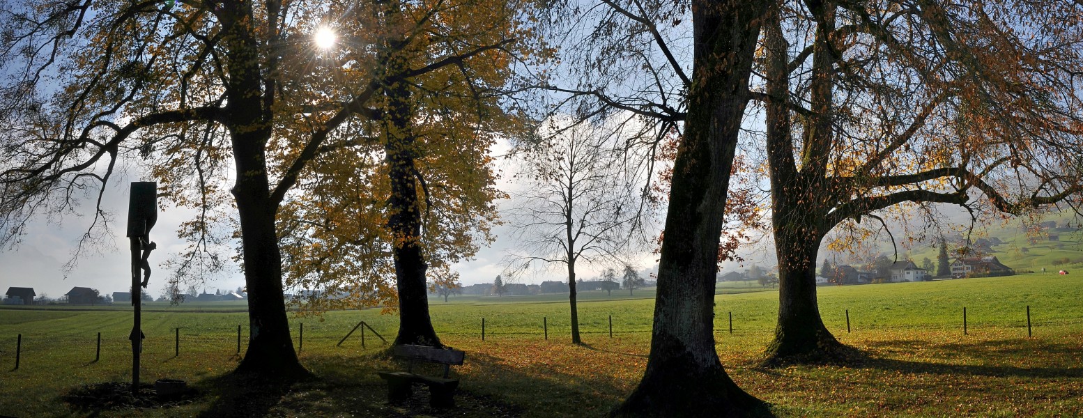 Gamschol in Gams SG Flurkreuz Panorama