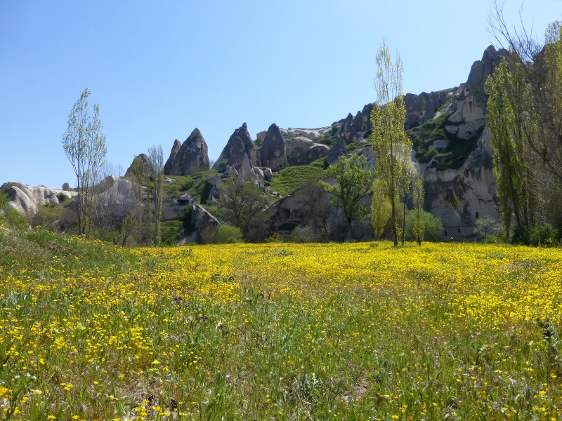 Gomeda Vadisi (14)