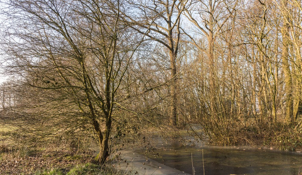 Grens tussen natuurterrein De Famberhorst en park Heremastate. Locatie, Natuurterrein De Famberhorst