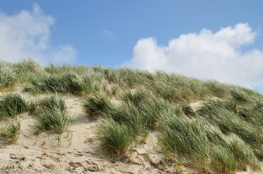 Henne Strand11