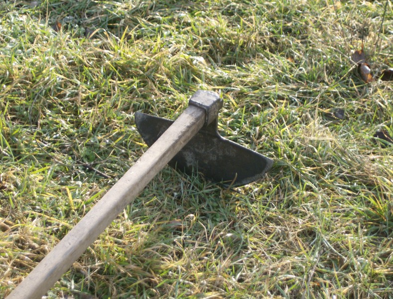 Hoe 1
