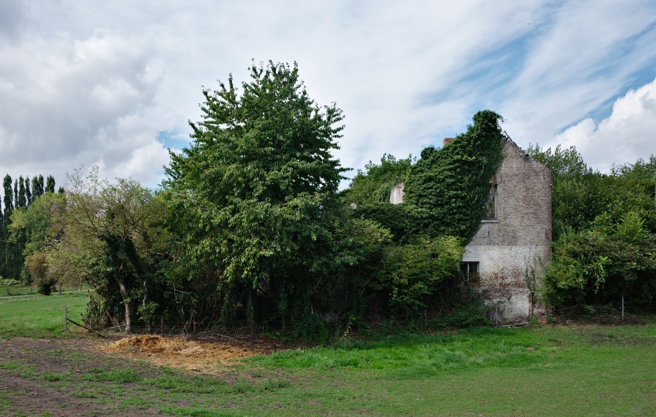 House eaten up by vegetation along the RAVeL L422 in Battignies (DSCF7850)
