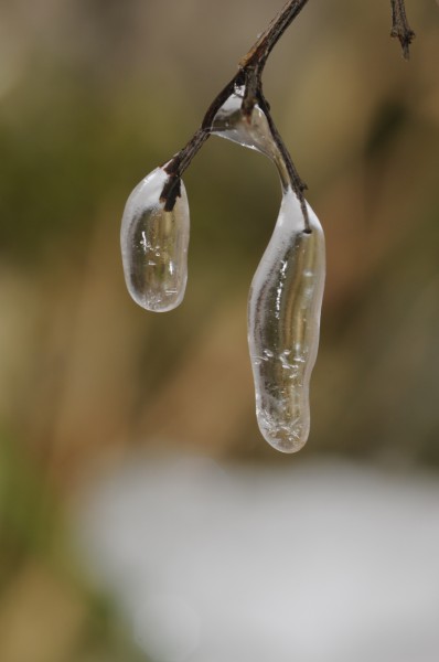 Ice-in-nature-4