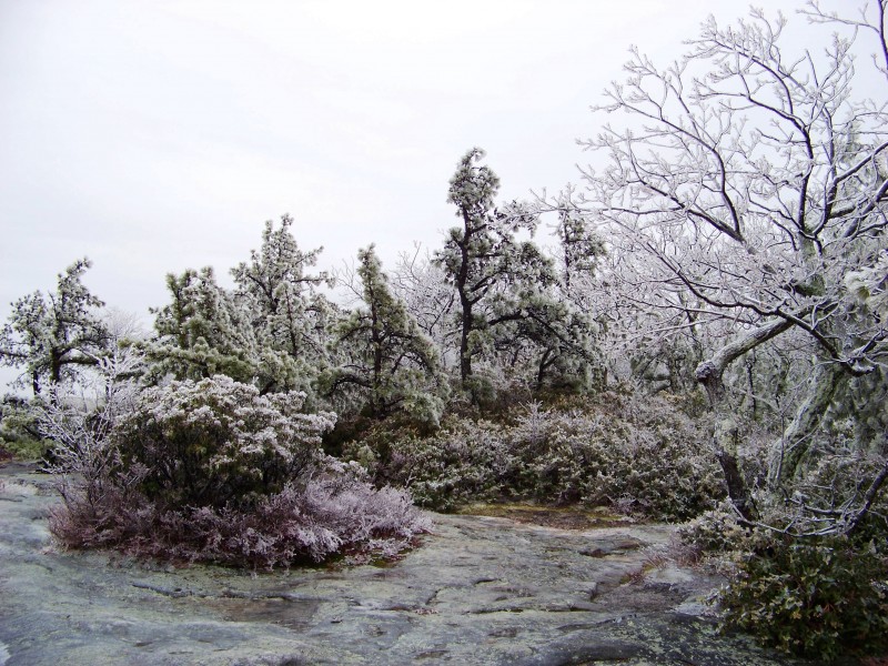 Icy Wonderland - panoramio