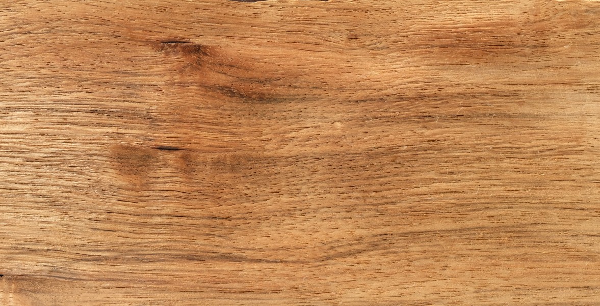 Indian Laurel Holz