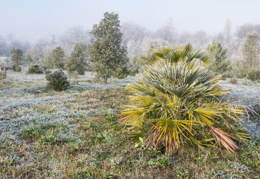 Jardín Botánico Olarizu 27