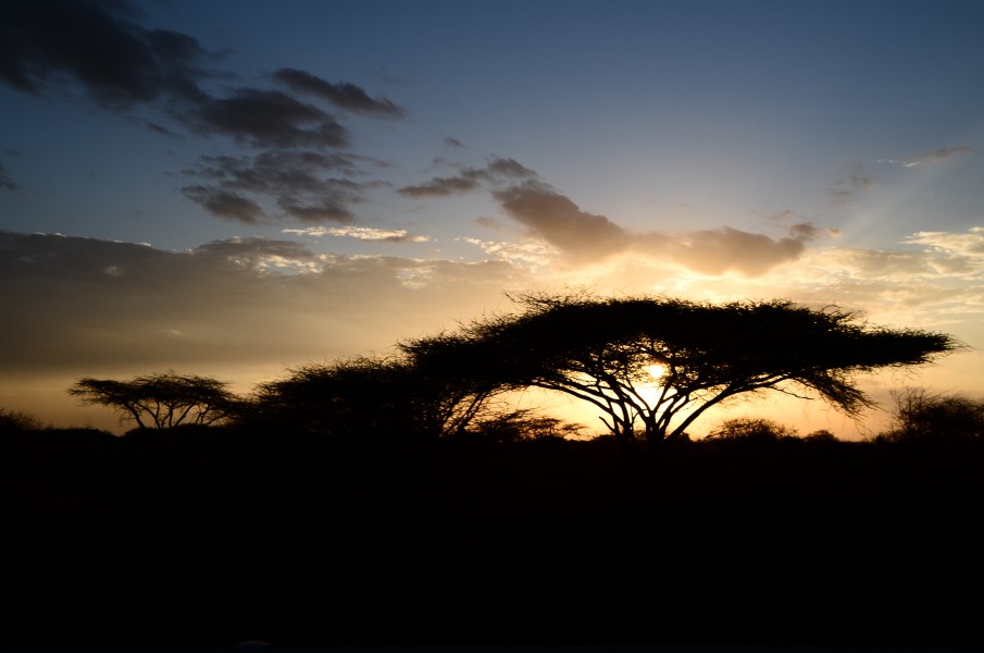 Kenia 2012 (94)