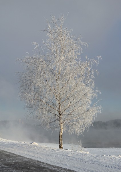 Kolomenskoe in white - Dec12 - 03 snow