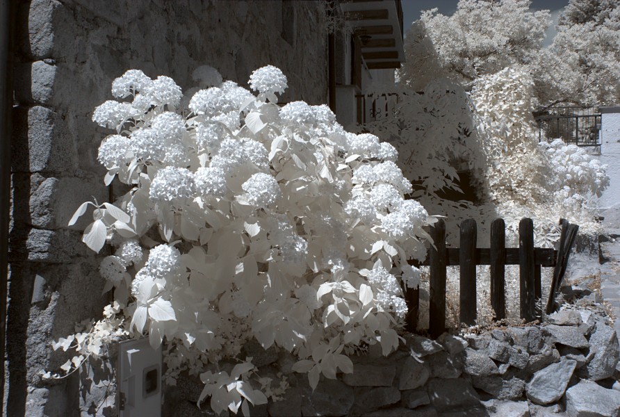 La Vajol 2013 07 16 07 IR M8