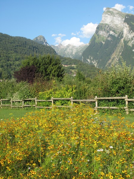 Le Criou from Samoens